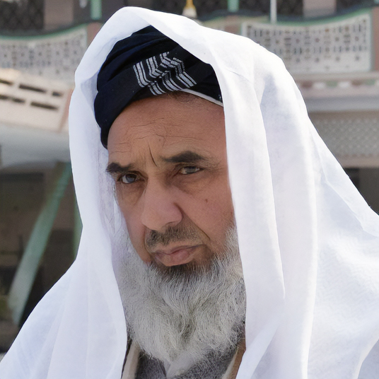 Qari Faiz Alvi